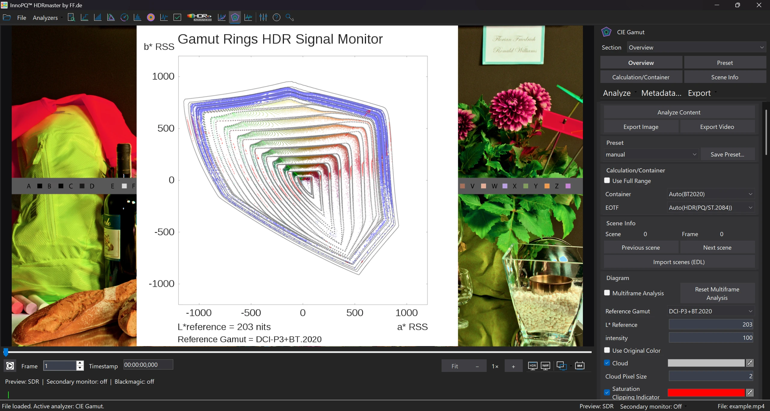 HDRmaster Gamut Rings with colour distribution and reference gamut